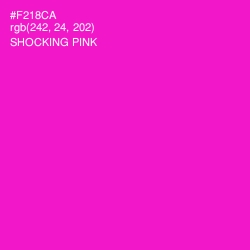 #F218CA - Shocking Pink Color Image